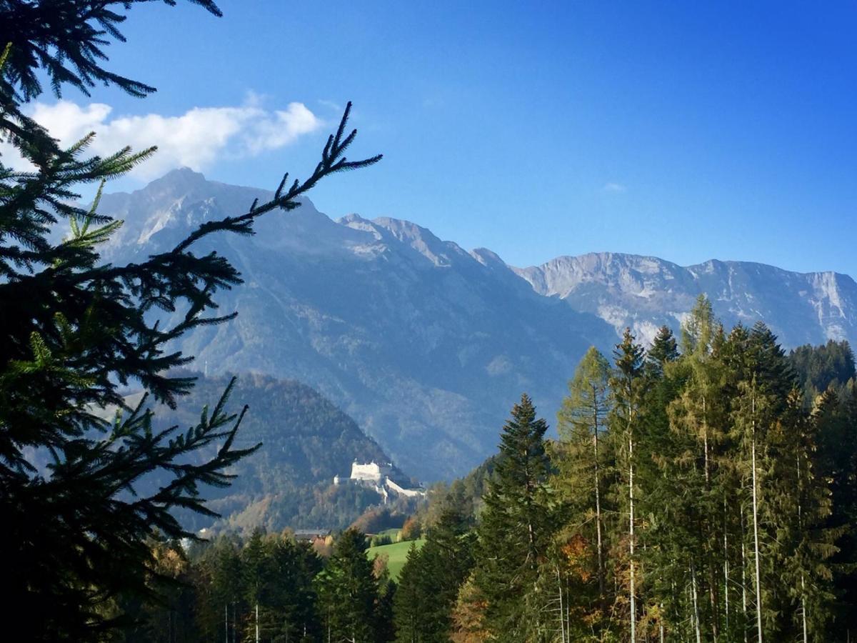 Pension Vocario Pfarrwerfen Bagian luar foto