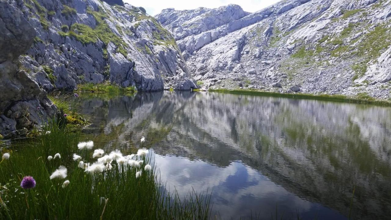 Pension Vocario Pfarrwerfen Bagian luar foto