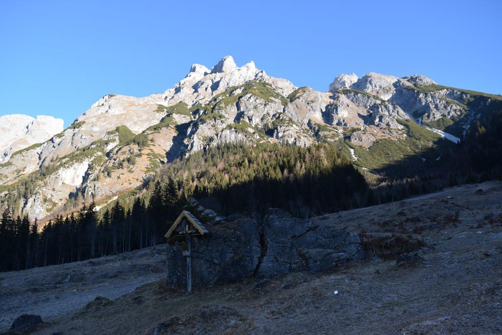 Pension Vocario Pfarrwerfen Bagian luar foto