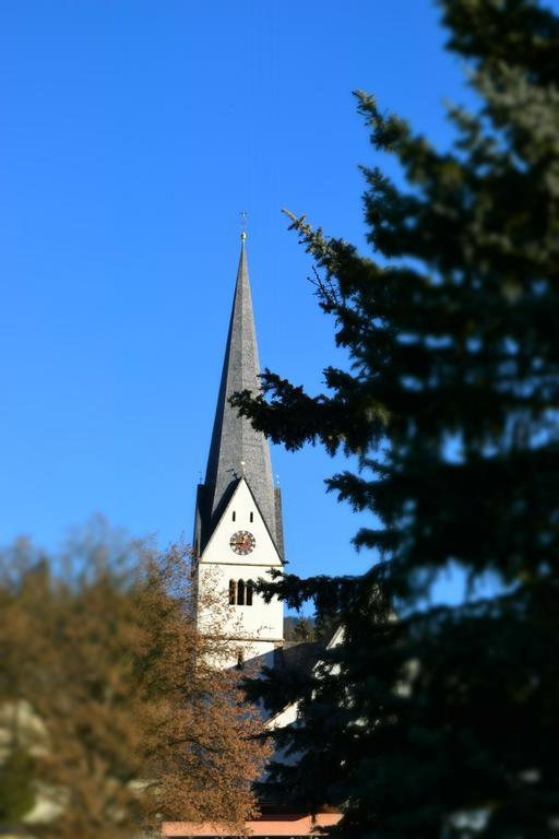 Pension Vocario Pfarrwerfen Bagian luar foto