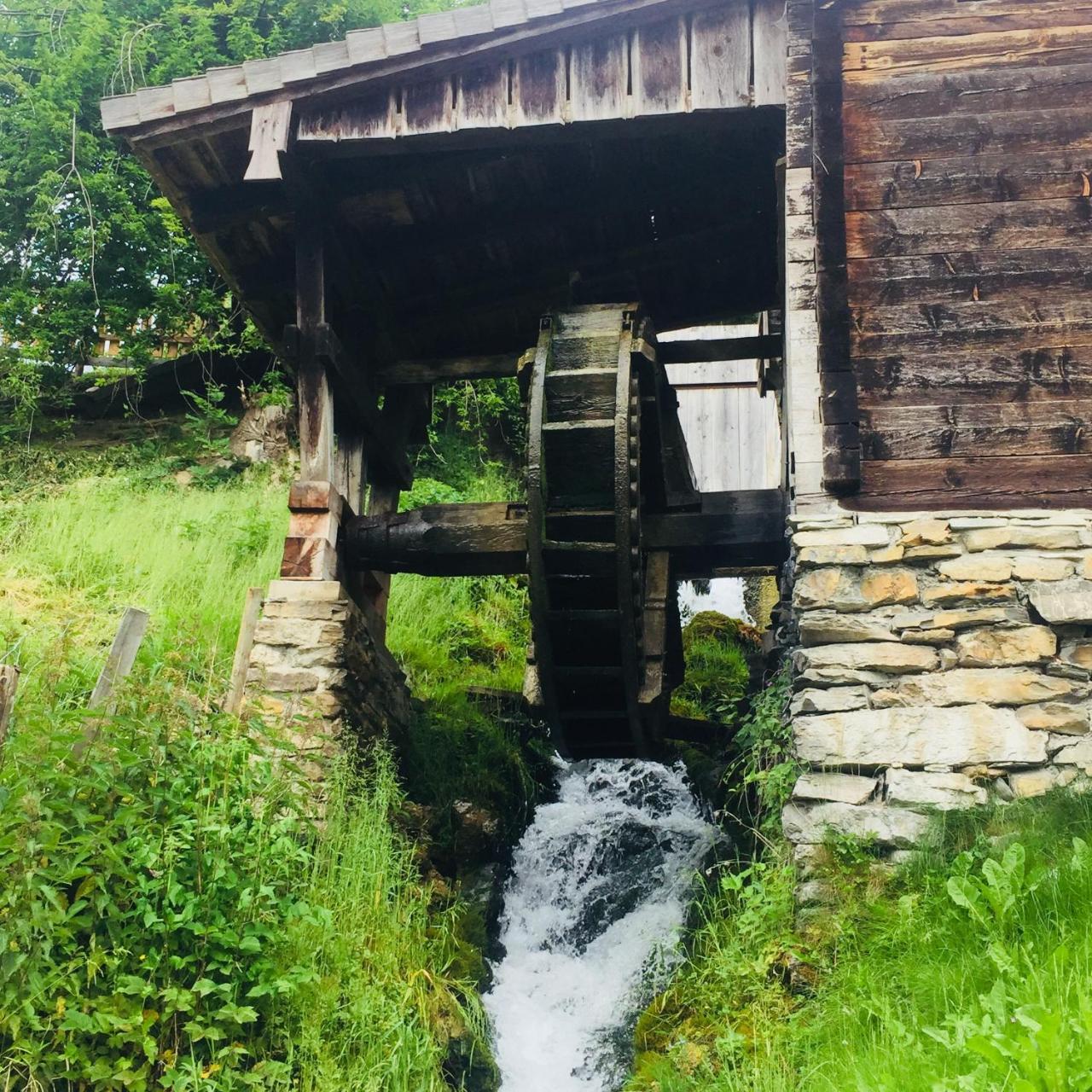 Pension Vocario Pfarrwerfen Bagian luar foto